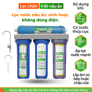 Bộ lọc chặn 4 lõi nấu ăn, nhỏ gọn, không dùng điện, 30l/h Bộ lọc chặn 4 lõi nấu ăn, nhỏ gọn, không dùng điện, 30l/h