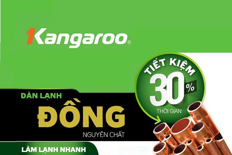 Tủ đông kháng khuẩn Kangaroo KG298VC2