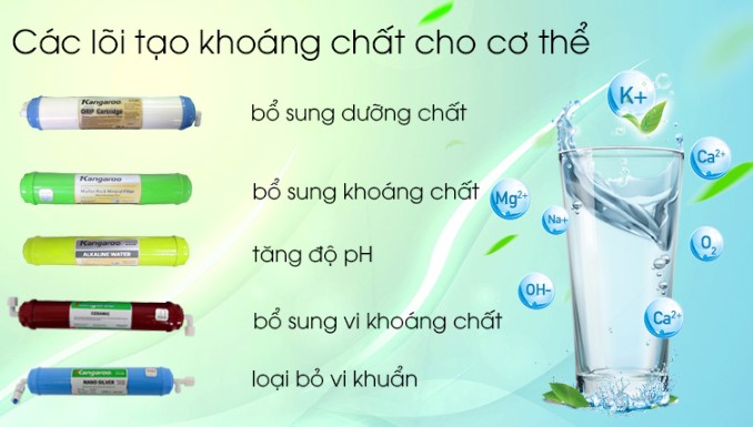 Các lõi tạo khoáng cho cơ thể