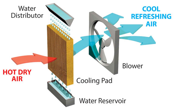 Máy làm mát không khí là gì? Cơ chế hoạt động của nó!