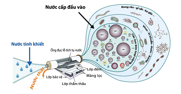 Có nên dùng máy lọc nước Ro cho gia đình mình không?