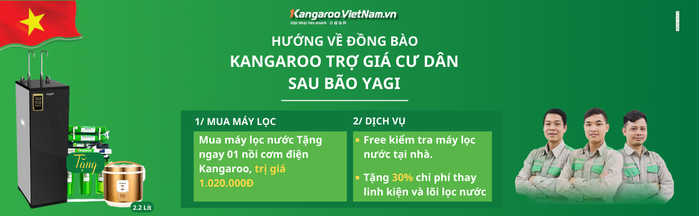 Hỗ trợ cư dân vùng lũ