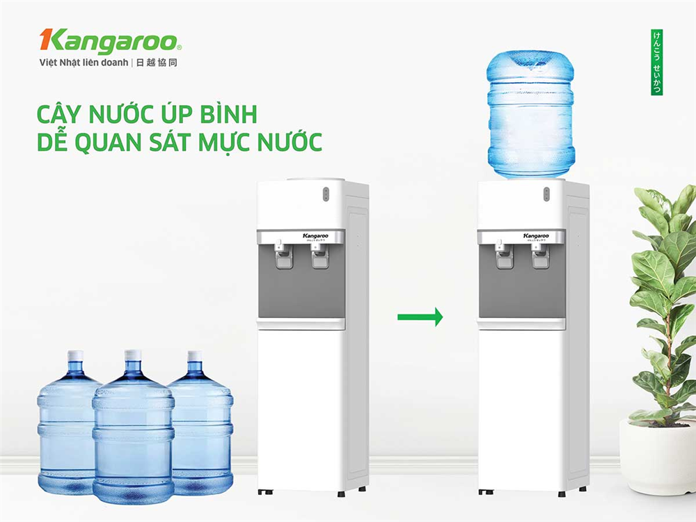 Cây nước bình úp dễ quan sát mực nước