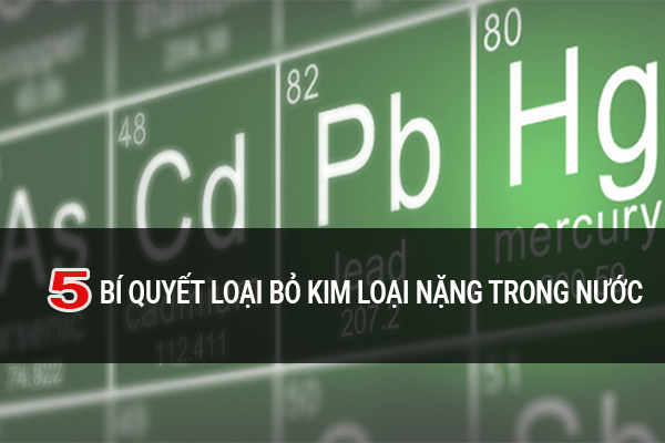 Kim loại nặng là gì? 5 bí quyết loại bỏ kim loại nặng trong nước