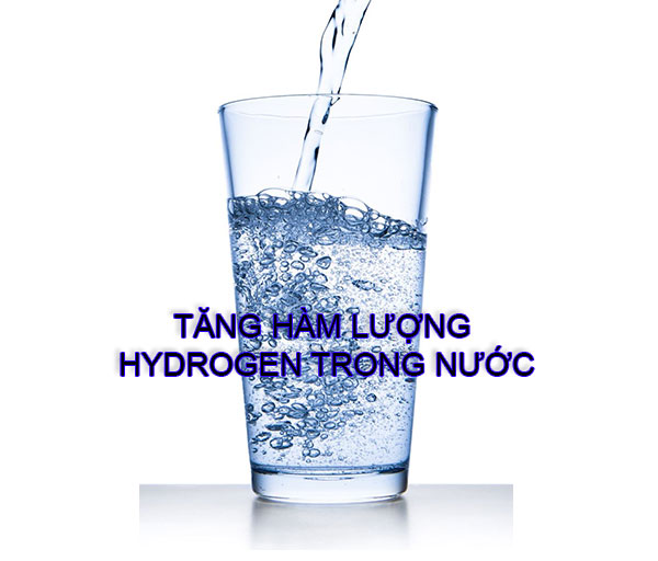 Máy lọc nước kangaroo hydrogen từ tính kg100hc có giá bao nhiêu?