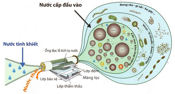 Máy lọc nước RO - KG104 NT - UV