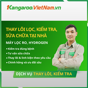 Dịch vụ thay lõi, kiểm tra lỗi, hỏng, bảo dưỡng vệ sinh máy lọc nước tại nhà