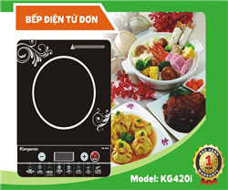 5 lý do bạn nên mua bếp từ Kangaroo KG420I ngay lập tức