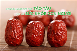 Công dụng ít biết của táo tàu đối với sức khỏe con người