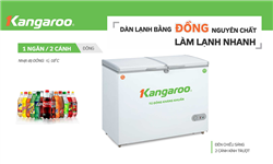 Mua tủ đông công nghiệp KG 699C1 ở đâu?