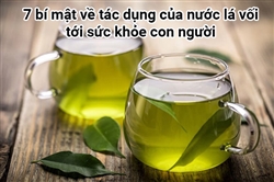 7 bí mật về tác dụng của nước lá vối tới sức khỏe con người 