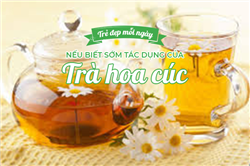 Trẻ đẹp mỗi ngày nếu biết sớm tác dụng của trà hoa cúc