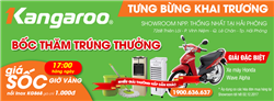 TƯNG BỪNG KHAI TRƯƠNG SHOWROOM KANGAROO HẢI PHÒNG