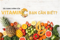 Vitamin C có tác dụng gì? Liều dùng và tác dụng phụ khi sử dụng