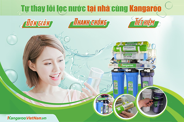 CLB thay lõi lọc tại nhà -1