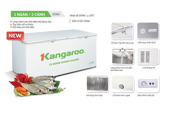 Tủ đông kháng khuẩn Kangaroo KG1009C1