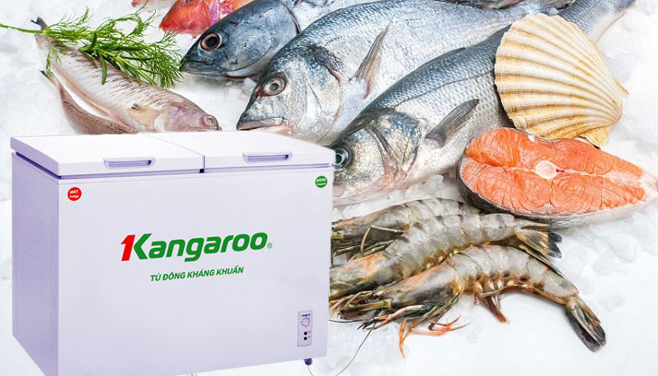 Tủ đông kháng khuẩn Kangaroo KG276A2