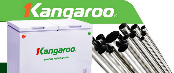 Tủ đông kháng khuẩn Kangaroo KG388A2