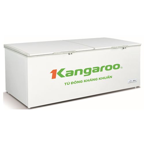Tủ đông kháng khuẩn Kangaroo KG720C1 