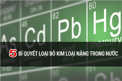 Kim loại nặng là gì? 5 bí quyết loại bỏ kim loại nặng trong nước