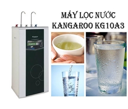 Máy lọc nước Kangaroo KG10A3 có sức hút đặc biệt như thế nào?