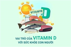 Tác dụng của vitamin D với sức khỏe con người như thế nào?