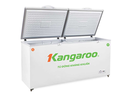 Tủ đông kháng khuẩn Kangaroo có ưu điểm vượt trội như thế nào?